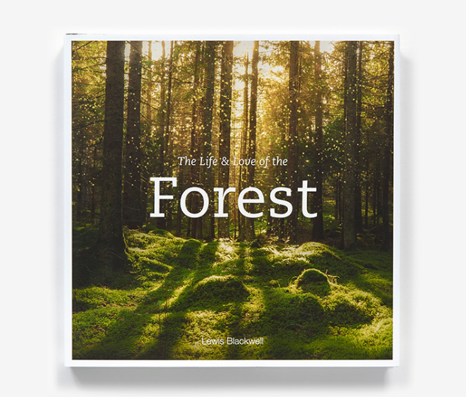 Life & Love of the Forest
