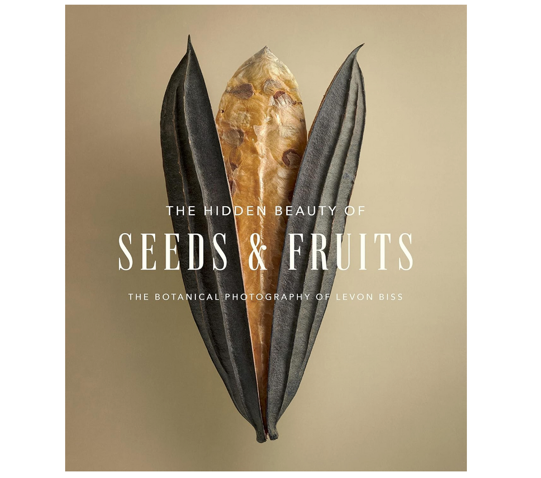 The Hidden Beauty of Seeds and Fruits