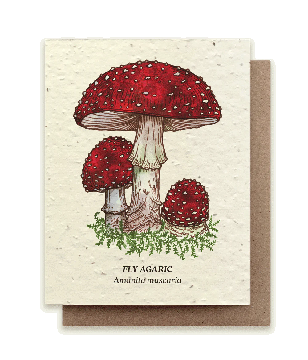 Fly Agaric Mushrooms